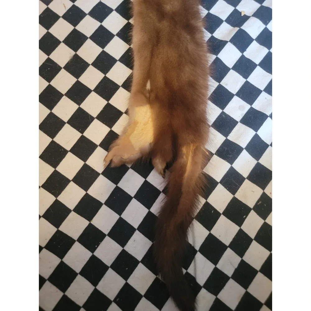 Vintage Real Fur Pelt Stole Mink Brown Taxidermy Craft Costume Prop